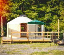 United States Tennessee Roan Mountain vacation rental compare prices direct by owner 27287163