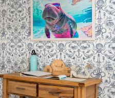 United States Florida Spring Hill vacation rental compare prices direct by owner 29854688