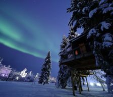 United States Alaska Fairbanks vacation rental compare prices direct by owner 12620821