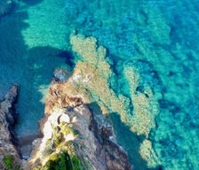 Italy Toscana Capoliveri vacation rental compare prices direct by owner 25277082