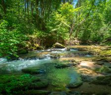 United States Georgia Cleveland vacation rental compare prices direct by owner 29486737