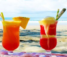 United States Florida Cape Coral vacation rental compare prices direct by owner 27099407