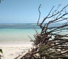 Guadeloupe Grande-Terre Le Gosier vacation rental compare prices direct by owner 9504329