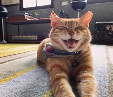 Taiwan Taipei Area Taipei vacation rental compare prices direct by owner 18730308