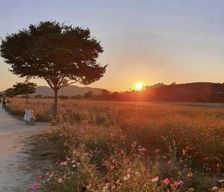 South Korea  Daegu vacation rental compare prices direct by owner 25390474