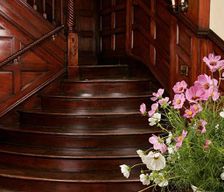 United States  Albany vacation rental compare prices direct by owner 15179251