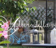 Italy  Cuneo vacation rental compare prices direct by owner 26231043