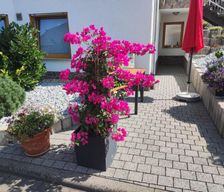Germany Rhineland-Palatinate Alken vacation rental compare prices direct by owner 25193920