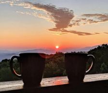 United States Tennessee Gatlinburg vacation rental compare prices direct by owner 15458878