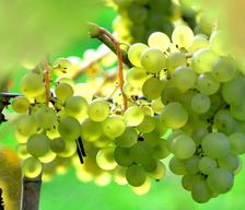 Sweden Jönköping county Huskvarna vacation rental compare prices direct by owner 27639119