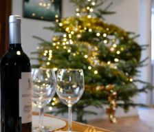 Poland Silesia Węgierska Górka vacation rental compare prices direct by owner 30019074