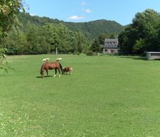 Belgium Liege Province Aywaille vacation rental compare prices direct by owner 27799918
