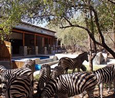 South Africa Mpumalanga Marloth Park vacation rental compare prices direct by owner 16072219