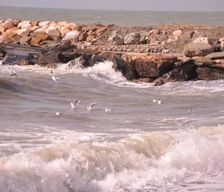 Italy  Cecina vacation rental compare prices direct by owner 7820321