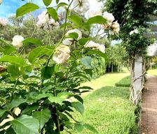 Australia Victoria Blairgowrie vacation rental compare prices direct by owner 5286461