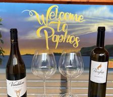 Cyprus  Paphos vacation rental compare prices direct by owner 15997621