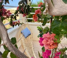 Cape Verde Boa Vista Sal Rei vacation rental compare prices direct by owner 14751563