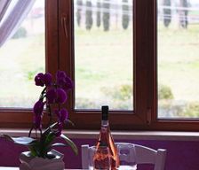Italy  Montalto di Castro vacation rental compare prices direct by owner 8704106