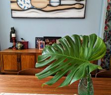 Australia SA Fulham Gardens vacation rental compare prices direct by owner 33308057