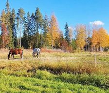 Sweden  Bureå vacation rental compare prices direct by owner 28875147