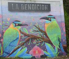 Colombia  Santa Rosa de Cabal vacation rental compare prices direct by owner 36613853