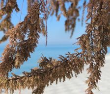 Greece Thasos Limenas vacation rental compare prices direct by owner 27033007