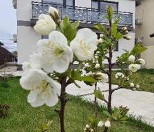 Romania Tulcea Sulina vacation rental compare prices direct by owner 27055910
