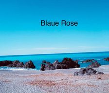 Italy  Scalea CS vacation rental compare prices direct by owner 27036581