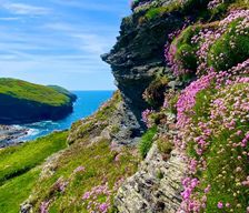 United Kingdom Cornwall Boscastle vacation rental compare prices direct by owner 18853823