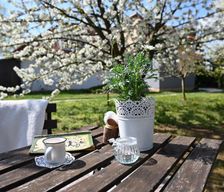 Hungary  Pogány vacation rental compare prices direct by owner 28991541
