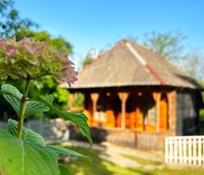 Georgia  Meore Balada vacation rental compare prices direct by owner 35520318
