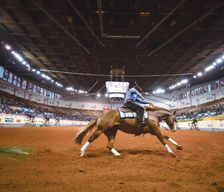 United States Oklahoma Moore vacation rental compare prices direct by owner 12816073