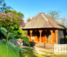 Georgia  Martvili vacation rental compare prices direct by owner 35437495