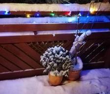 Austria Lower Austria Marktl vacation rental compare prices direct by owner 26990179