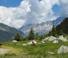Switzerland Uri Erstfeld vacation rental compare prices direct by owner 28967272