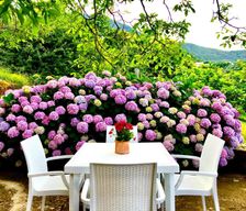 Italy  Stella Cilento vacation rental compare prices direct by owner 29461549