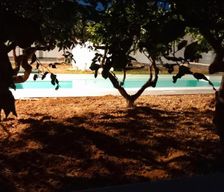 Italy Sicily Locogrande vacation rental compare prices direct by owner 27442675