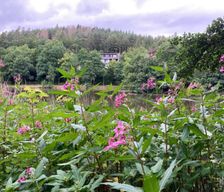 Germany Hessen Ronshausen vacation rental compare prices direct by owner 27366971
