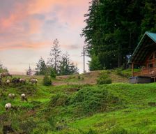 United States Washington Packwood vacation rental compare prices direct by owner 36406436