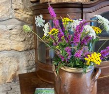 Germany Thuringia Uhlstädt-Kirchhasel vacation rental compare prices direct by owner 13025480