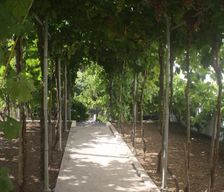 Portugal Centro Amiais de Baixo vacation rental compare prices direct by owner 33423023