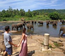 Sri Lanka  Pinnawala vacation rental compare prices direct by owner 27375173