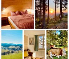 Germany  Lenzkirch vacation rental compare prices direct by owner 28640971