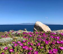 Italy Sardegna Santa Teresa Gallura vacation rental compare prices direct by owner 28162199