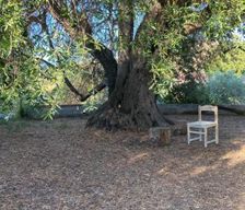 Italy Provincia di Sassari Sardegna vacation rental compare prices direct by owner 23869260