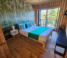 Chile O'Higgins Matanzas vacation rental compare prices direct by owner 35898507