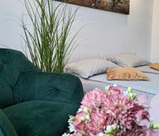Romania  Miercurea-Ciuc vacation rental compare prices direct by owner 27065438