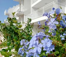 Italy  Monopoli vacation rental compare prices direct by owner 28913795