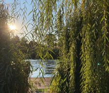 Hungary  Gyomaendrőd vacation rental compare prices direct by owner 27719606
