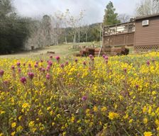 United States California Wofford Heights vacation rental compare prices direct by owner 36377517